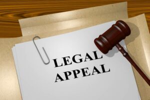 Everything You Should Know About Navigating Your Criminal Appeal