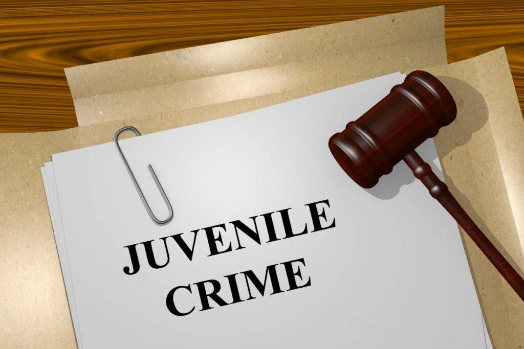 Your Guide to Juvenile Crimes